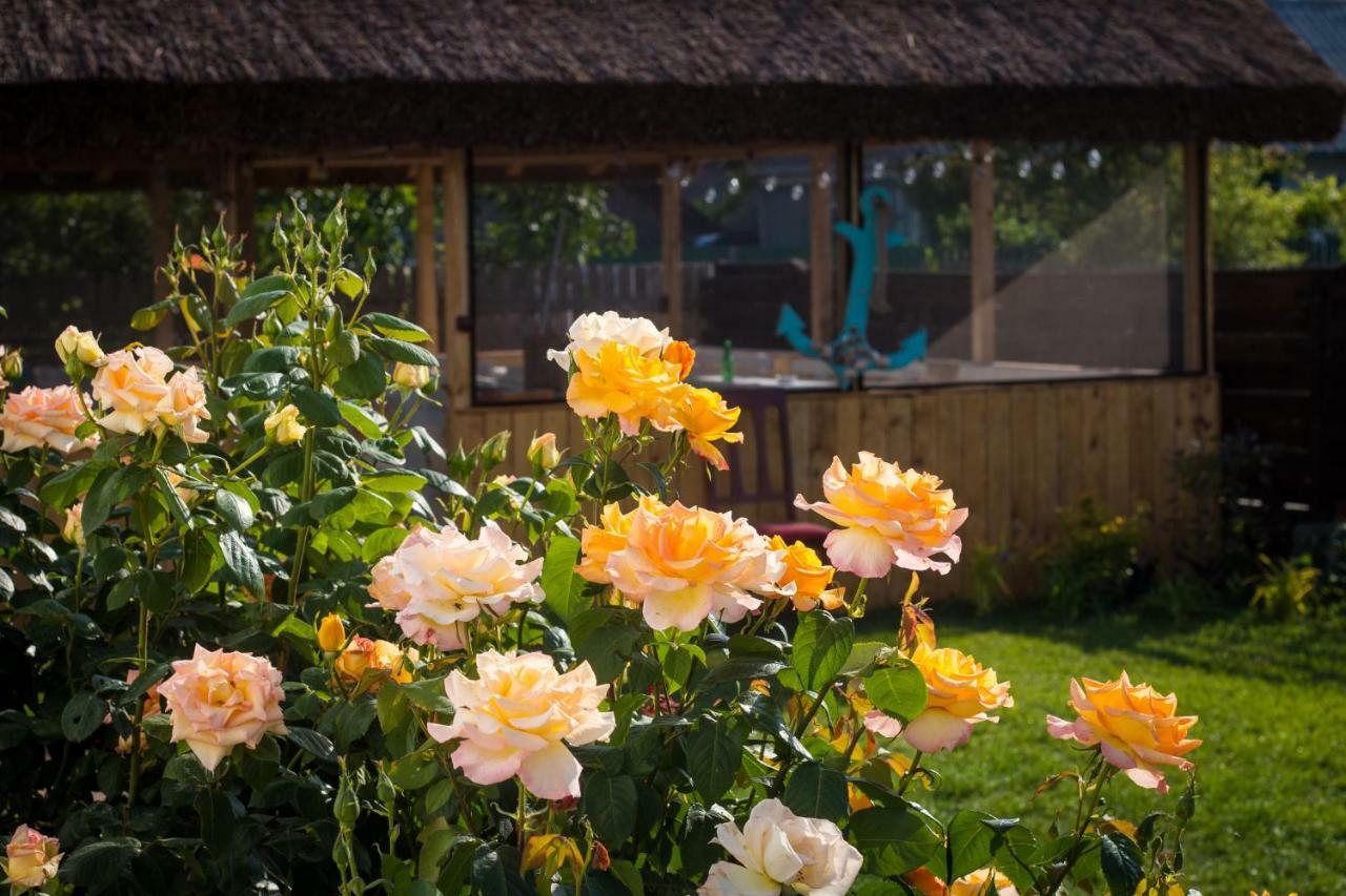 Zen Eco Villa Sfantu Gheorghe  Bagian luar foto